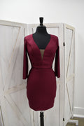 Burgundy Deep Plunge Long Sleeve Bodycon Mini Dress