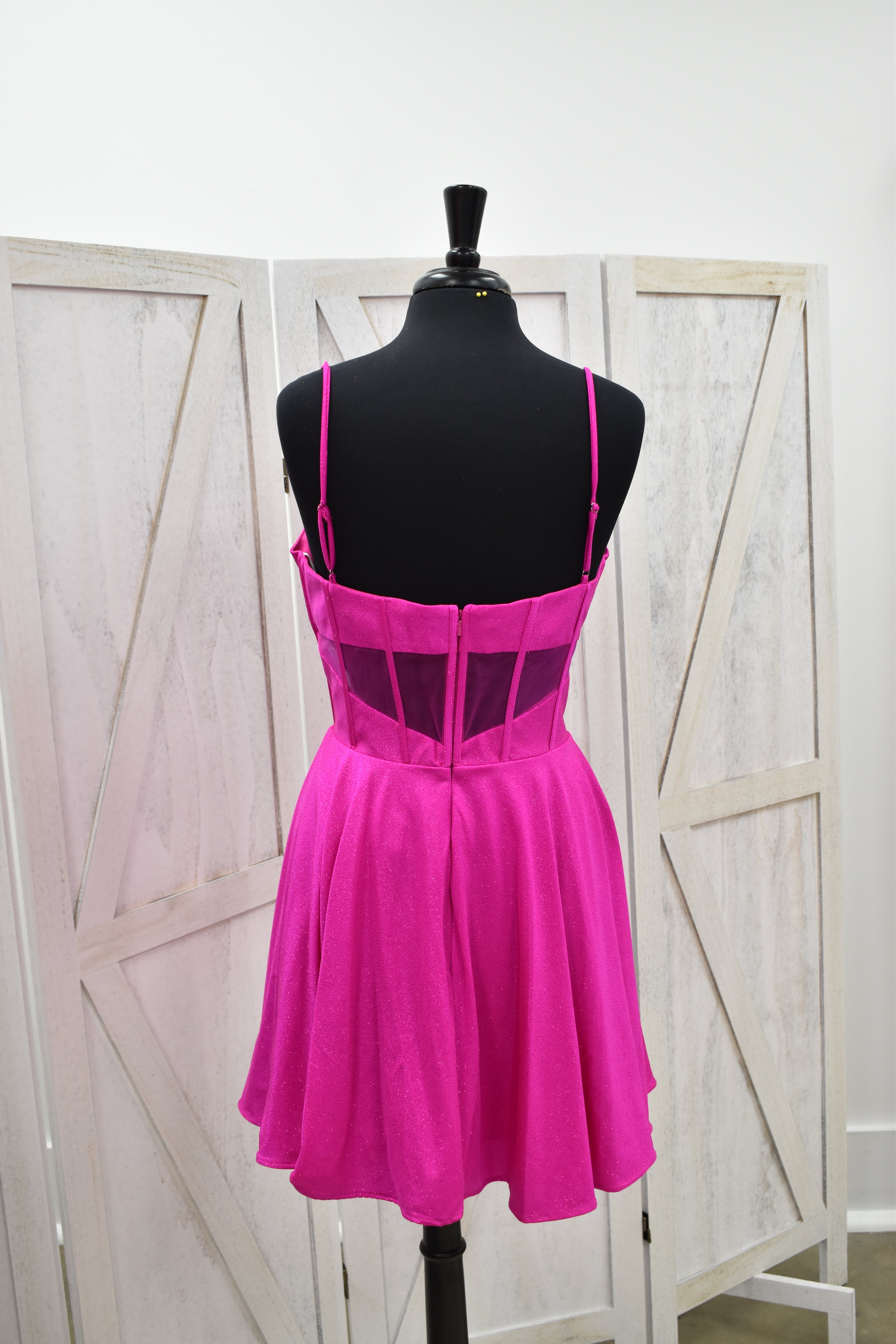 Magenta Deep Plunge Corset Skater Mini Dress