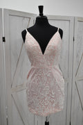 Blush Floral Lace Deep Plunge Bodycon Mini Dress with Crystal Straps